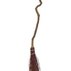 Gekrümmter Hexenbesen