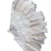 XXL Burlesque Federfächer Weiß 50cm -Kostümzubehör Verkaufsladen marabu federfaecher als burlesque kostuemzubehoer federfaecher guenstig onlline kaufen sexy kostuemzubehoer 21446 01
