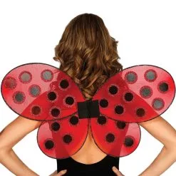 Seidenflügel Marienkäfer